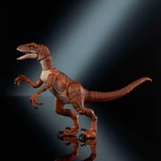 Jurassic World Hammond Collection Velociraptor Tiger Dinosaur Action Figure, 13 Points Articulation