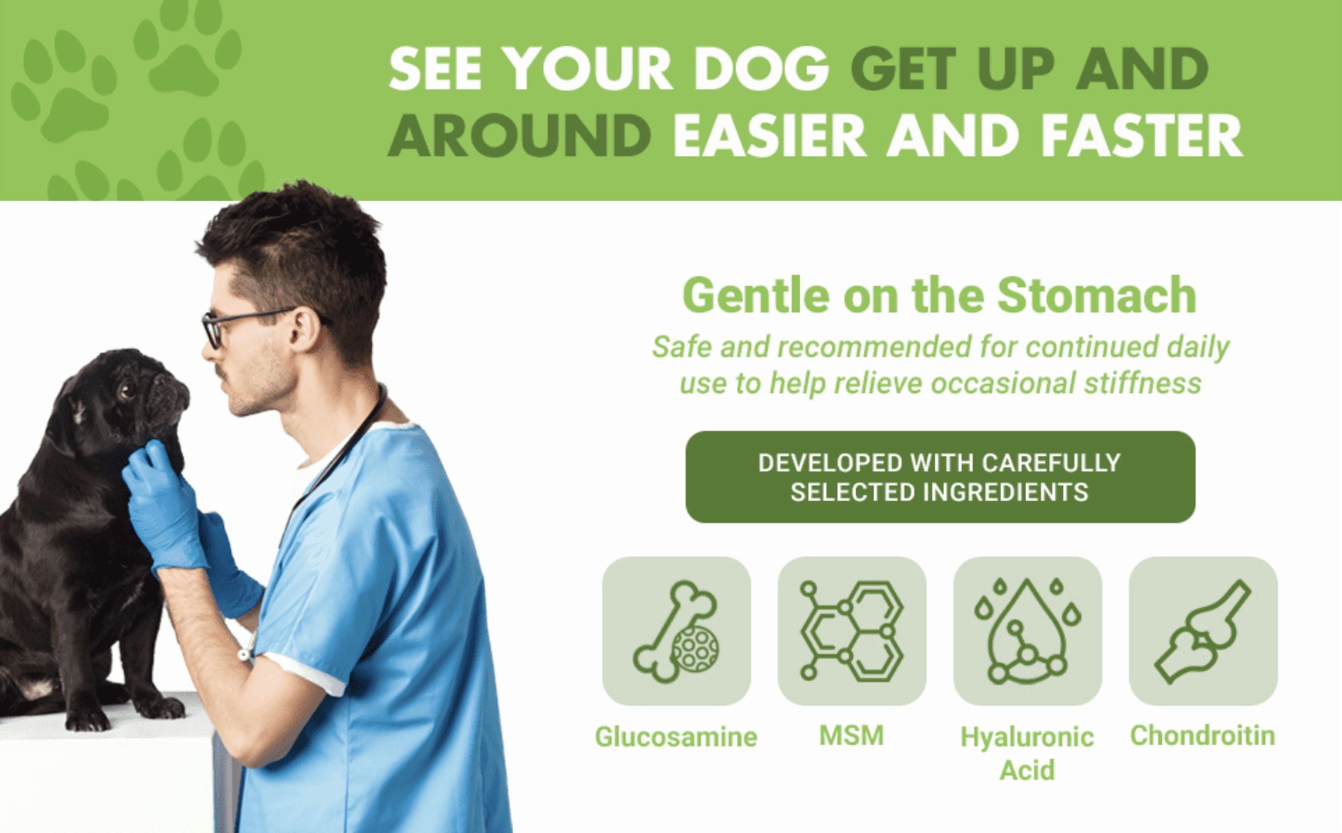 (2 pack) Liquid-Vet Hip & Joint Wellness Supplement for Dogs with Glucosamine, Chicken, 16 oz.