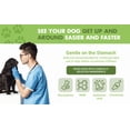 thumbnail image 5 of Liquid-Vet Hip & Joint Saver Supplement for Dogs with Glucosamine, Pot Roast, 16 oz., 5 of 9