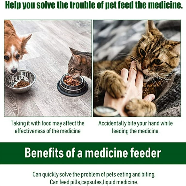 How Do You Give A Dog Liquid Medicine To Bite