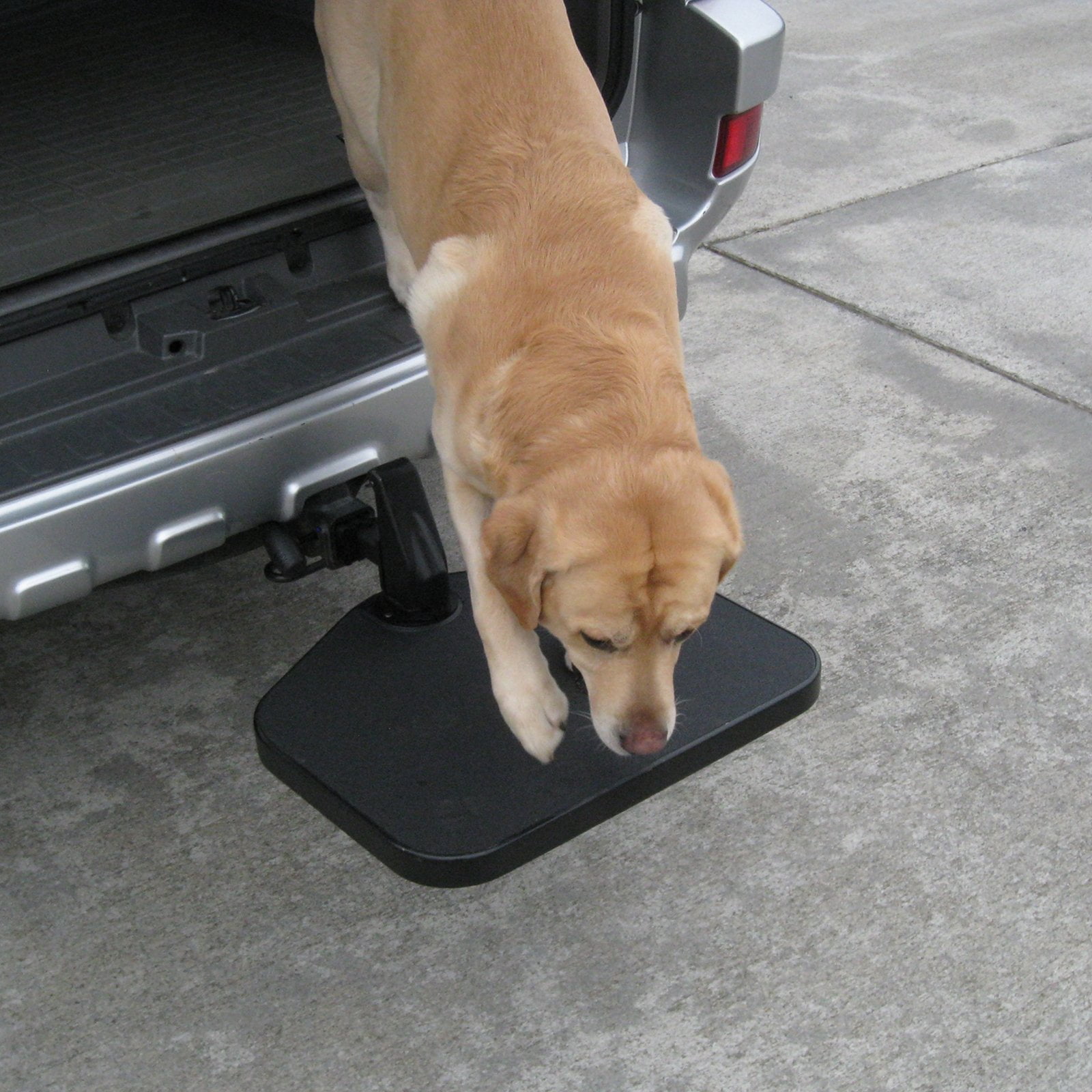 hitch mounted dog step