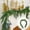 Green/2PCS, variant on CVSOPHIA 6ft Christmas Garlands - Real Touch Norfolk Pine Garland, Artificial Christmas Real Greenery for Winter Holiday Indoor Outdoor Decor,Green/1PCS