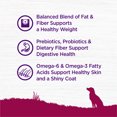 thumbnail image 4 of Wellness Complete Health Dry Dog Food, Small Breed, Wholesome Grains, Natural, Healthy Weight Turkey & Brown Rice Recipe, (12-Pound Bag), 4 of 9