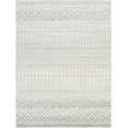 thumbnail image 3 of BoutiqueRugs Harput Farmhouse Moroccan Geometric Runner Rug - Boho Aztec Tribal Carpet for Hallway, Kitchen - Gray, Light Gray, White - 2'7" x 12' Runner, 3 of 19