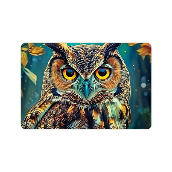 Shiartex Owl Theme Floor Mat Rug for Home Entrance, Durable Non-Slip Indoor Outdoor Doormat 24x16in