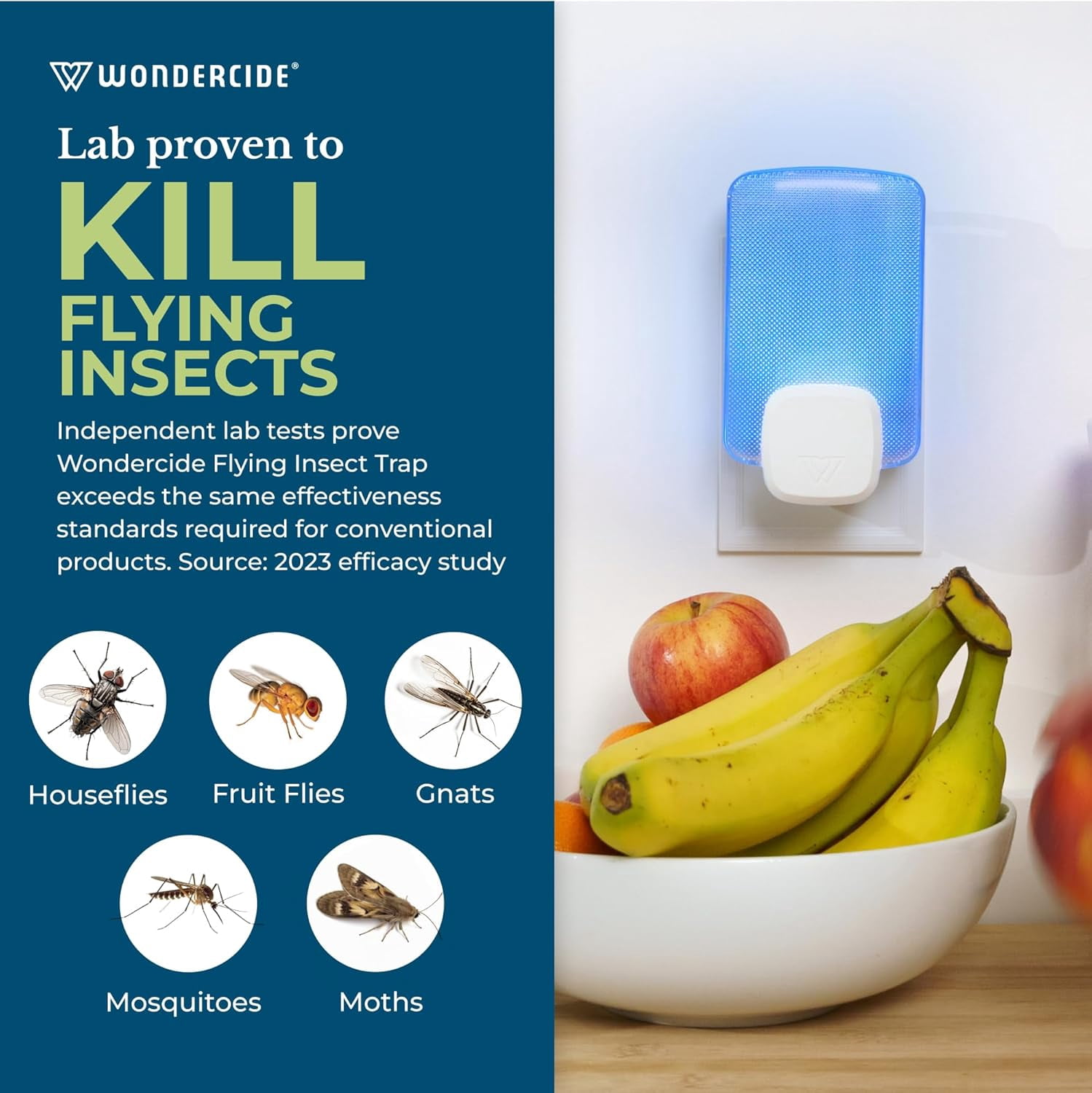 Flying Insect and Fly Trap - Indoor Bug Catcher for Fruit and House Flies, Gnats, Moths, and Mosquitoes - Starter Kit for Home and Kitchen - 1 Plug-in Light and 1 Cartridge