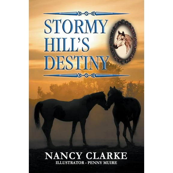 Stormy Hill Stormy Hill's Destiny: Book 7, Book 7, (Paperback)
