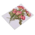 thumbnail image 1 of Paquete Flores Secas Naturales, Prensa , Flor Seca, , Hojas Prensadas para , Jabón, Manualidades, Scraobooking, de, 1 of 9