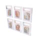 thumbnail image 1 of Pegatinas De Plantas De Flores, Colores Vibrantes Y Elegantes, 240 Piezas, Pegatinas Botánicas Con Contornos Holográficos Dorados, Adhesivo Fuerte Para Diario, 1 of 7