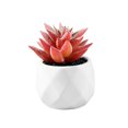 thumbnail image 1 of Mini Fake White Ceramic Potted Succulents Artificial Plants - Faux Succulents Plants for Home , Office Shelf Decorations Artificial Multilayer Succulent Plant Bonsai for Home, 1 of 8