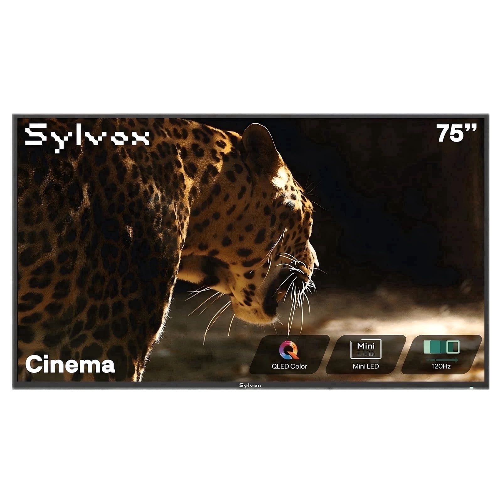 Sylvox 75 inch Outdoor Smart Google TV, 4K QLED Mini LED, 120Hz Television, 2000 Nits Full Sun, IP55 Waterproof, Dolby Atmos, (Cinema)