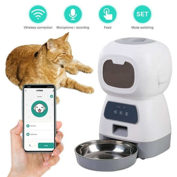 Dog feeder with shop timer