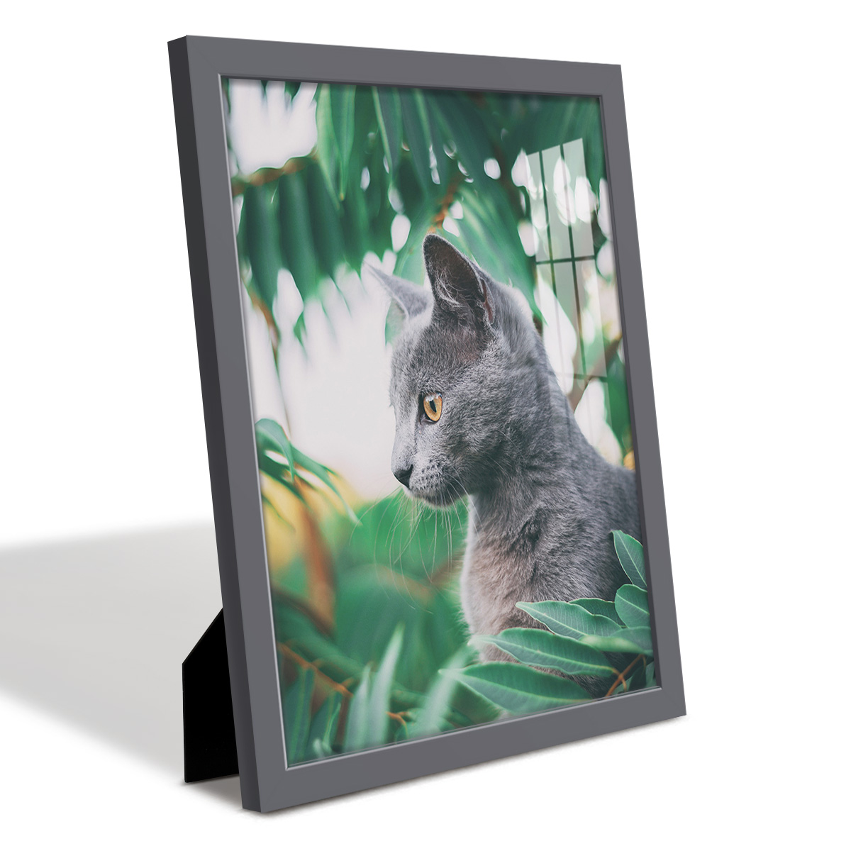 Modern 11 in. x 14 in. Grey Picture Frame (Set of 4)