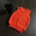 thumbnail image 2 of REDARER Girls Knit Vest Soft Warm Winter Sleeveless Pullover Top for Kids Cozy Casual Wear Everyday Outfit Layering Piece,Size:3-4 Years, 2 of 3