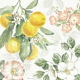 thumbnail image 3 of Grove, Beth 12x12 Black Modern Framed Museum Art Print Titled - Citrus Charm VI, 3 of 5