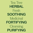thumbnail image 3 of Plant Therapy Tea Tree Essential Oil 100% Pure, Pre-Diluted Roll-On, Natural Aromatherapy 10 mL (1/3 oz), 3 of 8