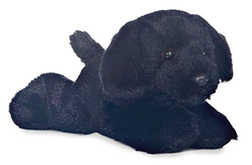 black lab teddy