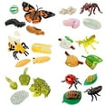 thumbnail image 1 of Insect Lore Cycle de Vie des Étapes Ensemble Complet Figurines d'Insectes, 1 of 6