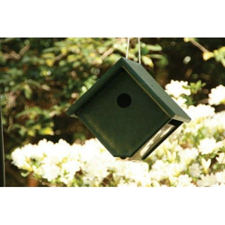 - Songbird Essentials SERUBWH105 Recycled Plastic Wren House Hunter/Ivory