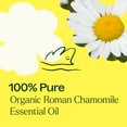 thumbnail image 5 of Plant Therapy Organic Roman Chamomile Essential Oil 2.5 mL (1/12 oz) 100% Pure, Undiluted, Natural Aromatherapy, 5 of 9