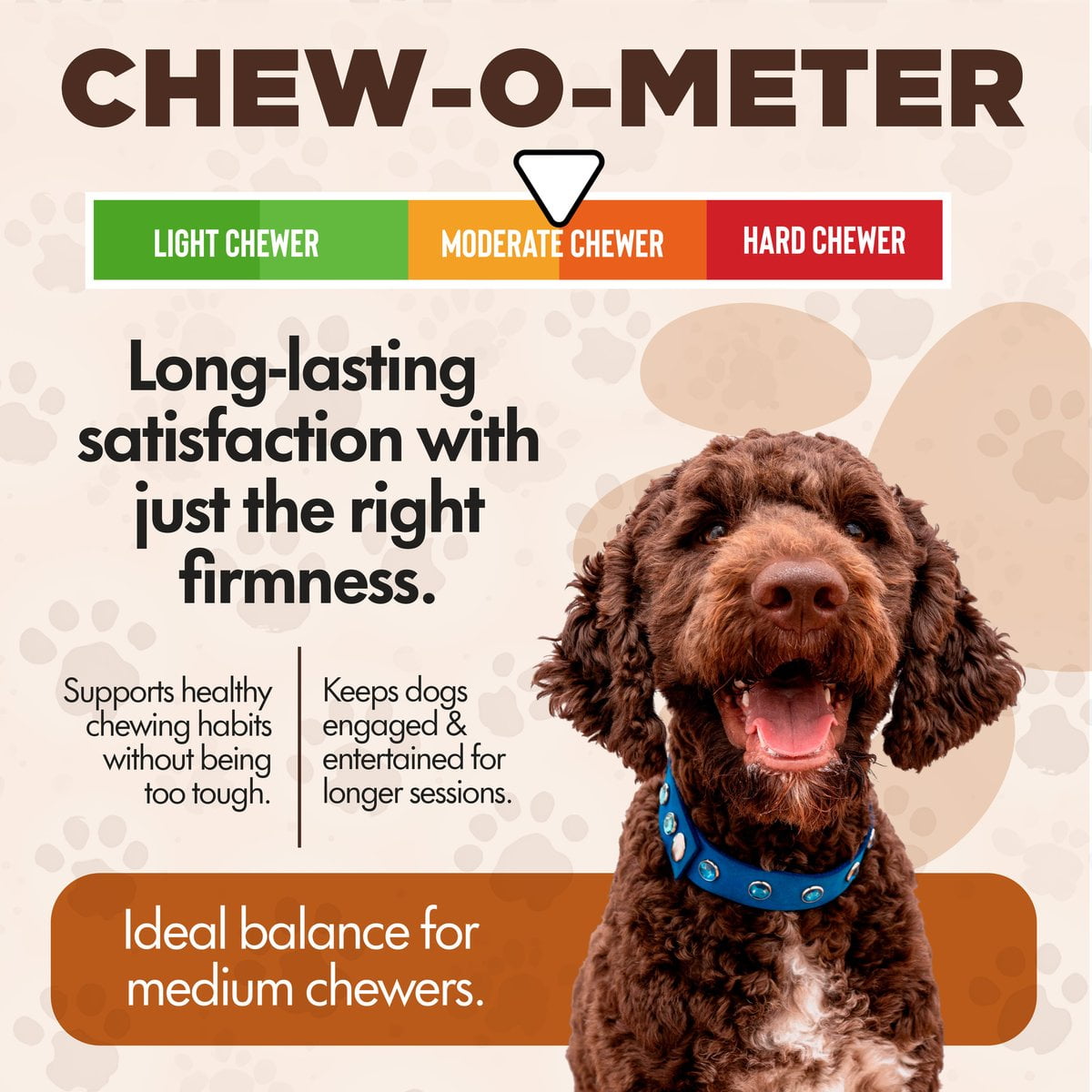 Scoochie Pet Chewka Cheese Flavored Plant-Forward Fully Digestible Dog Chew Bone, Medium, 6CT