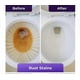 thumbnail image 5 of Effervescent Toilet Foam Cleaner for Deep Cleaning and Shine, 5 of 5