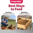 thumbnail image 5 of Hungrybird Dried Mealworms, 5lbs – High Protein Poultry Treats for All Wild Birds and Chicken Flocks, 5 of 6