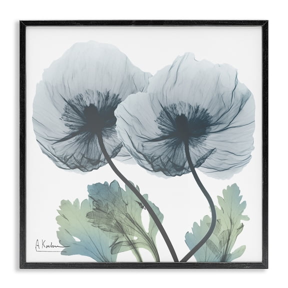 Stupell Industries Double Modern Flower Blossoms Floral Photography Black Framed Art Print Wall Art, 12 x 12