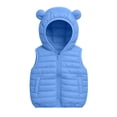 thumbnail image 5 of BLVB Boys Girls Hooded Puffer Vest Winter Lightweight Sleeveless Cute Ears Zipper up Jacket Waistcoat for Kids(Blue,12-13 Years), 5 of 9