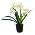 thumbnail image 1 of Bonsái de narciso de cuatro cabezas con flores falsas, decoración creativa, decoración de flores, simulación de flores artificiales, planta verde, planta en maceta, 1 of 5