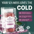 thumbnail image 4 of TrueSeaMoss Wildcrafted Irish Sea Moss Gel – Elderberry, 1 Pack, Natural Seamoss – 16 fl oz Flavored Seaweed Snack, 4 of 9