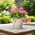 thumbnail image 7 of Wliror 8 Inch Cream White Ceramic Planter with Drainage – Warm Off‑White Flower Pot for Indoor Plants, Fiddle Leaf Figs, Ferns, 7 of 7