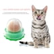 thumbnail image 2 of Gato Catnip Lamiendo para Gatito Aumentar Bebida Energy Ball Snack, 2 of 8