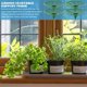 thumbnail image 4 of Greenadscape 6Ud Bastidor Para Melones De Jardín Soporte Práctico Para Plantas En Crecimiento, 4 of 8