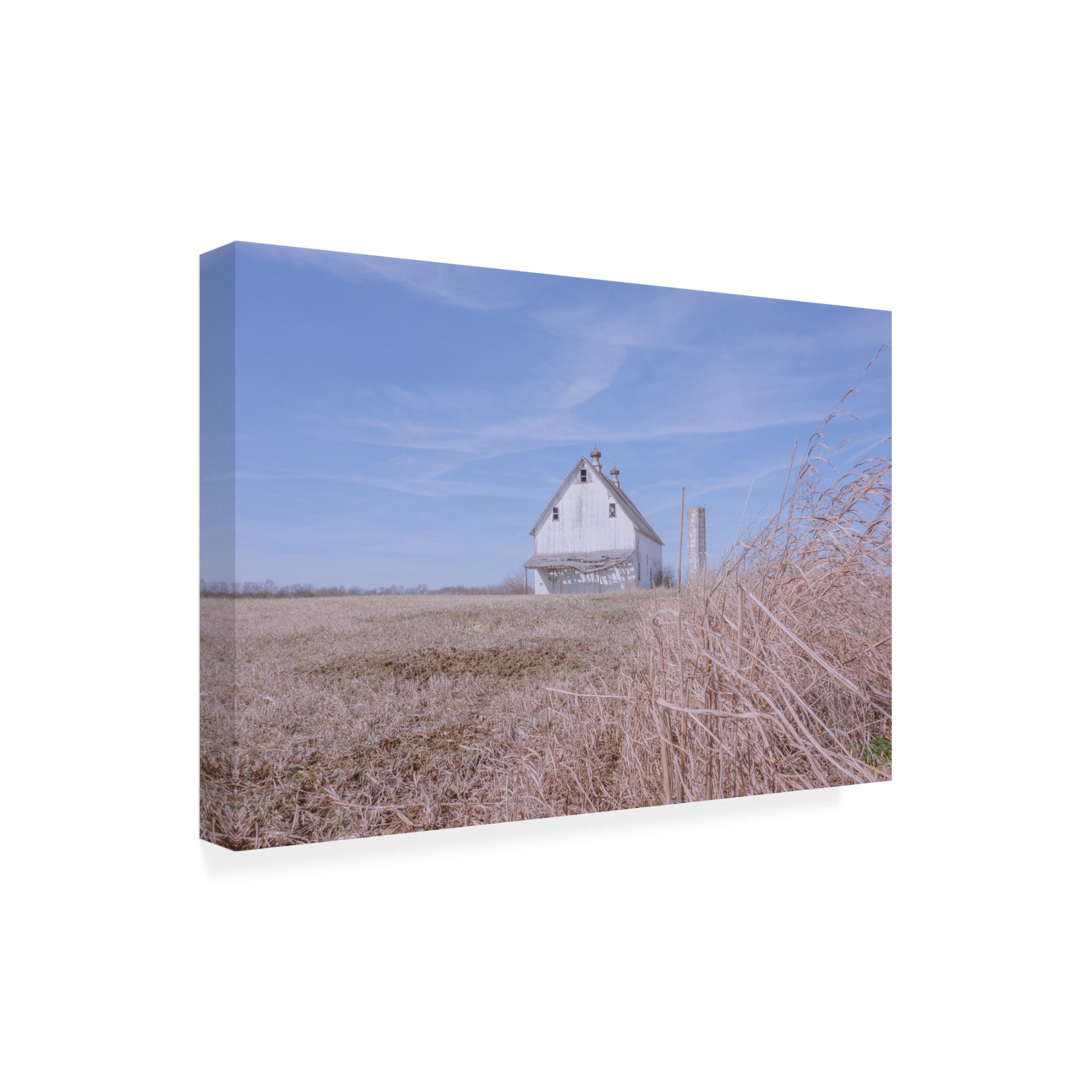 Canvas Wall Art - Life BeautifuLEE 'Farm Life Long Ago' Wall Art for Living Room, Bedroom, or Office Décor by Trademark Fine Art - 32 x 22 Inches