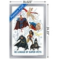thumbnail image 3 of DC Comics Movie DC League Of Super-Pets - Counterparts Wall Poster, 14.725" x 22.375" Framed, 3 of 6