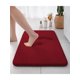 thumbnail image 1 of 1pc Simple Soft Memory Foam Non-Slip Bath Mat For Bathroom, 1 of 4