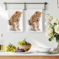 thumbnail image 3 of Funny Cats Kitchen Towels Set of 2, Cute Art Fun Lovely Animals on Toilets Absorbent Dish Towels for Kitchen, Microfiber Hand Towel, Quick Drying Tea Towel for Cleaning Decorative Dishcloths, 3 of 7