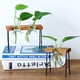 thumbnail image 3 of Estante de Soporte para Plantas Perfecl 2x Almacenamiento de Escalera Soporte de Exhibición Interior y Exterior 3 Florero, 3 of 7