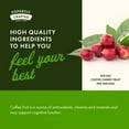 thumbnail image 5 of Swanson Full-Spectrum Coffee Cherry - Herbal Supplement Promoting Immune System Support & Delivering Essential Phytonutrients - Natural Overall Wellness Support - (60 Veggie Capsules, 200mg Each), 5 of 7