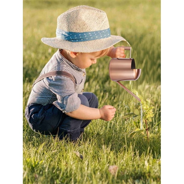 Vaporisateur En Cuivre Pour Plantes | Leroy Merlin