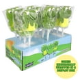 thumbnail image 5 of Frog Jelly Lollipops, Gummy Birthday Party Candy, 12 Count, 15 Ounce Box, 5 of 8