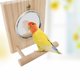 thumbnail image 4 of Perca de espejo de juguete para loro con soporte para jaula, juego de escalera de columpio para pájaros, 4 of 5