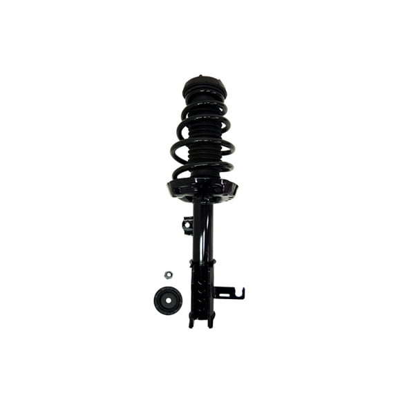 Suspension Strut and Coil Spring Assembly