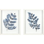 Crystal Art Gallery Contemporary Botanical Set of 2 Framed Glass Prints, Blues