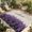 Indigo Beige, variant on Indoor Outdoor Area Rugs,Watercolor Purple Lavender Flower on Linen Washable Patio Rug Non-slip Quick Dry Camping Rugs,Spring Botanical Floor Carpet for Porch Deck Backyard RV Decor,4x6ft