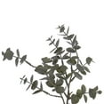 thumbnail image 2 of Vickerman 22" Artificial Green Gray Eucalyptus Wreath, PE, 2 of 4