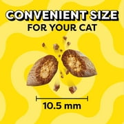 Temptations Classic Savory Salmon Flavor Crunchy And Soft Treats For Cats, 30 Oz Tub