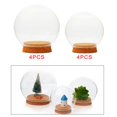 thumbnail image 5 of Elodie Glass Mini Transparent Terrarium Bottle Decoration Desktop Display, 5 of 5