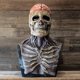 thumbnail image 1 of Máscara de calavera de cabeza completa, máscara de esqueleto, disfraz de Halloween, máscara de terror, máscara de servicio malvado, casco con mandíbula móvil, envío directo, 1 of 1